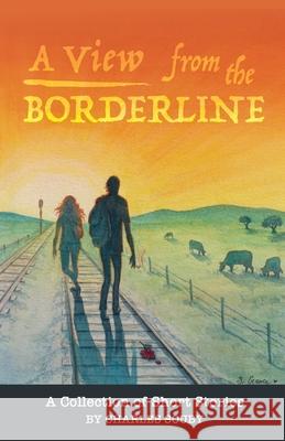 A View from the Borderline: A Collection of Short Stories By Charles Souby Charles Souby Mary Anne Maier 9780578591698 Charles Souby - książka
