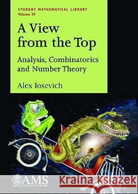 A View from the Top : Analysis, Combinatorics and Number Theory Alex Iosevich   9780821843970 American Mathematical Society - książka