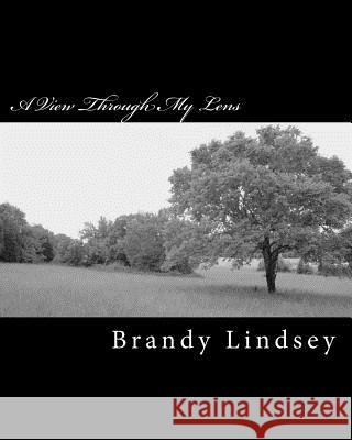 A View Through My Lens Brandy Lindsey 9781477463451 Createspace - książka