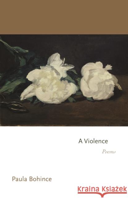 A Violence: Poems Paula Bohince 9780691277776 Princeton University Press - książka