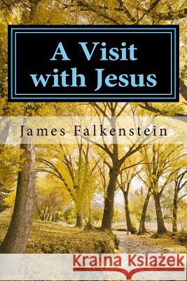 A Visit with Jesus: One Man's Journey James Falkenstein 9781535166164 Createspace Independent Publishing Platform - książka