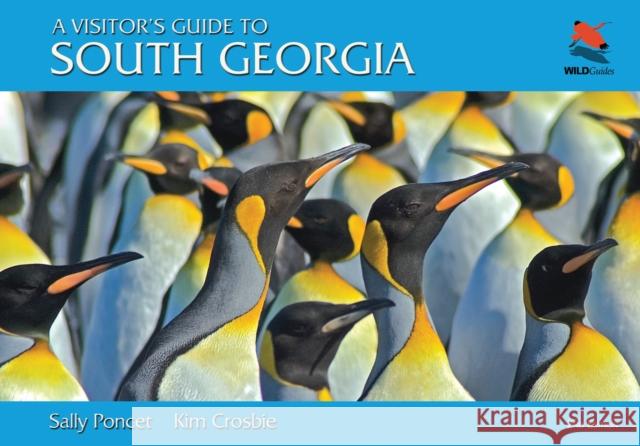 A Visitor's Guide to South Georgia: Second Edition Kim Crosbie 9780691156583  - książka