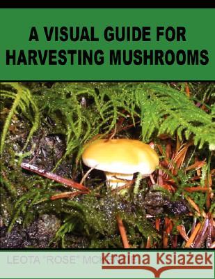 A Visual Guide for Harvesting Mushrooms Leota McKenzie 9781434349132 Authorhouse - książka