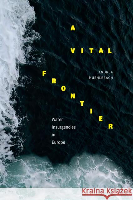 A Vital Frontier: Water Insurgencies in Europe Andrea Muehlebach 9781478017134 Duke University Press - książka