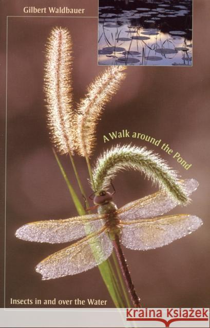 A Walk Around the Pond: Insects in and Over the Water Waldbauer, Gilbert 9780674027657 Not Avail - książka