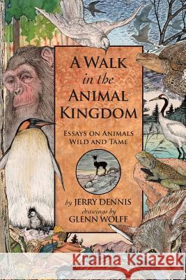 A Walk in the Animal Kingdom: Essays on Animals Wild and Tame Jerry Dennis Glenn Wolff 9781940941691 Dca, Inc. - książka