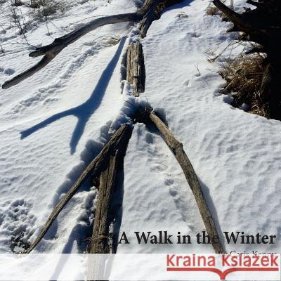 A Walk in the Winter Caris Young Kenny 9781530129867 Createspace Independent Publishing Platform - książka