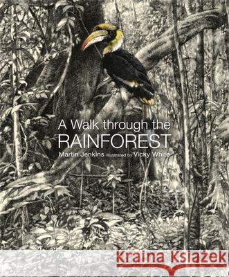 A Walk Through the Rain Forest Martin Jenkins Vicky White 9781536211207 Candlewick Press (MA) - książka