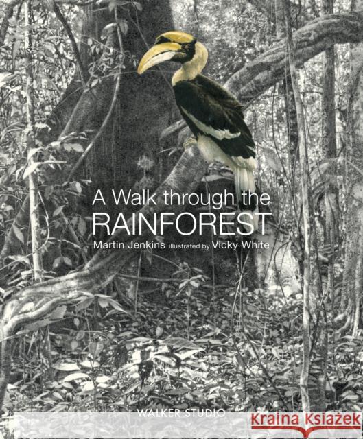 A Walk Through the Rainforest Martin Jenkins 9781406331554 Walker Books Ltd - książka