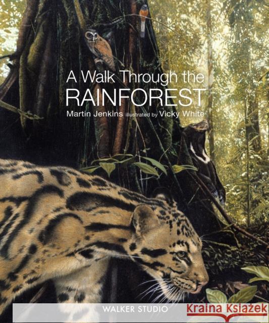 A Walk Through the Rainforest Martin Jenkins 9781529518542 Walker Books Ltd - książka