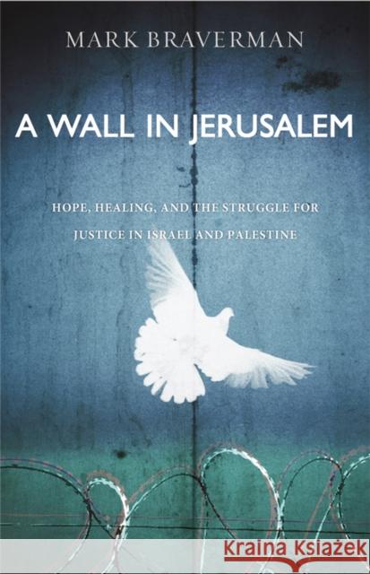 A Wall in Jerusalem: Hope, Healing, and the Struggle for Justice in Israel and Palestine Braverman, Mark 9781455574209 Jericho Books - książka
