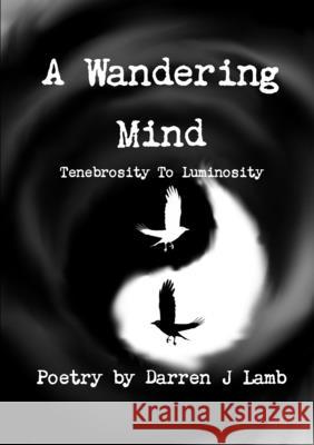 A Wandering Mind Tenebrosity to Luminosity Darren J Lamb 9780244001322 Lulu.com - książka