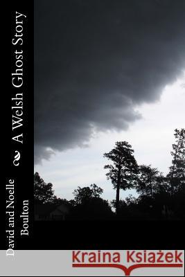 A Welsh Ghost Story David Boulton David Boulton Noelle Boulton 9781483974484 Createspace - książka