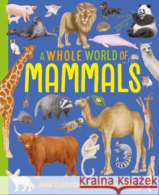 A Whole World of...: Mammals Anna Claybourne 9781445188126 Hachette Children's Group - książka