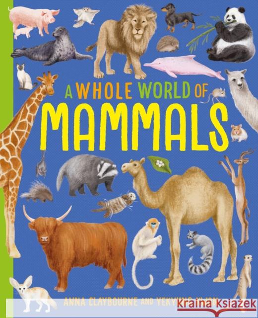 A Whole World of...: Mammals Anna Claybourne 9781445188140 Hachette Children's Group - książka