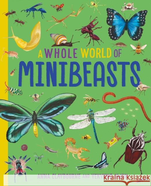 A Whole World of...: Minibeasts Anna Claybourne 9781445188539 Hachette Children's Group - książka