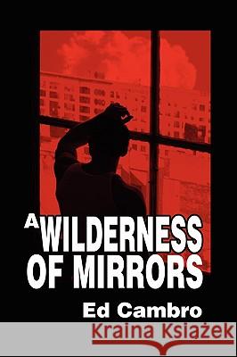 A Wilderness of Mirrors Ed Cambro 9781934925522 Strategic Book Publishing - książka