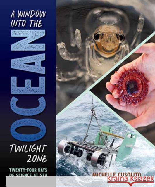 A Window into the Ocean Twilight Zone: Twenty-Four Days of Science at Sea Michelle Cusolito 9781623543020 Charlesbridge Publishing,U.S. - książka