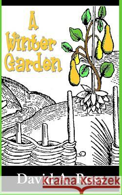 A Winter Garden David a. Ross 9780615708164 Open Books Publishing (UK) - książka