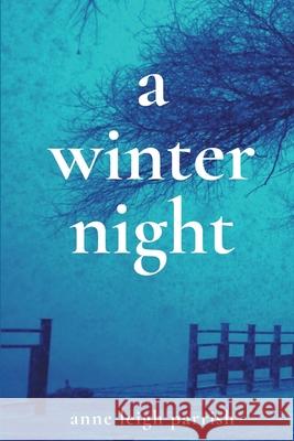 A Winter Night Anne Leigh Parrish 9781950730605 Unsolicited Press - książka