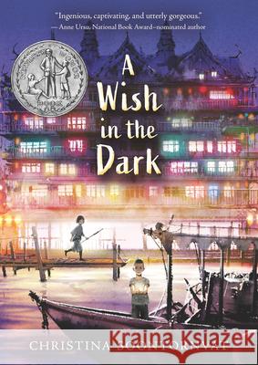 A Wish in the Dark Christina Soontornvat 9781536222975 Candlewick Press (MA) - książka