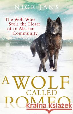 A Wolf Called Romeo Nick Jans 9780753540886 Ebury Publishing - książka