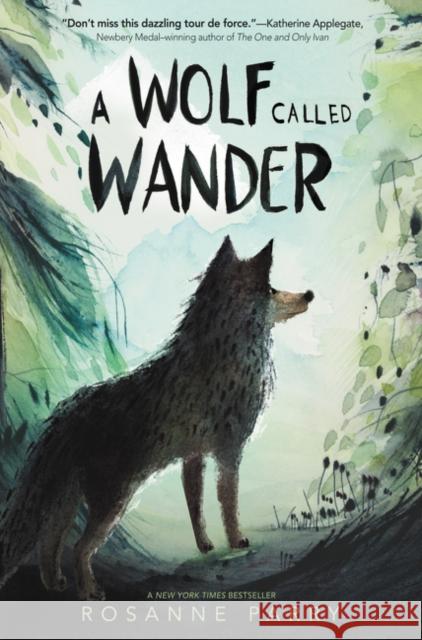 A Wolf Called Wander Parry, Rosanne 9780062895943 Greenwillow Books - książka