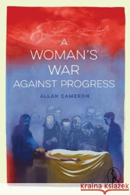 A Woman's War against Progress Allan Cameron 9781913212353 Vagabond Voices - książka