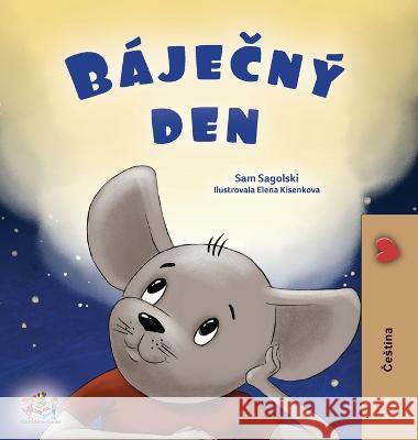 A Wonderful Day (Czech Book for Children) Sam Sagolski Kidkiddos Books  9781525974922 Kidkiddos Books Ltd. - książka