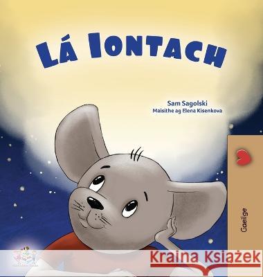 A Wonderful Day (Irish Book for Children) Sam Sagolski Kidkiddos Books  9781525975196 Kidkiddos Books Ltd. - książka