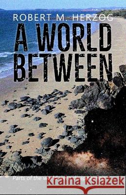 A World Between Robert Herzog 9781611882179 Story Plant - książka