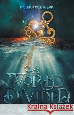 A World Divided Emily Stone Diana Bloom Paul Schultz 9781039149649 FriesenPress - książka