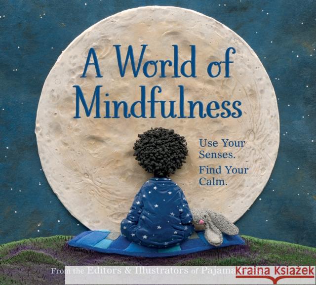 A World of Mindfulness Erin Alladin 9781772781380 Pajama Press - książka
