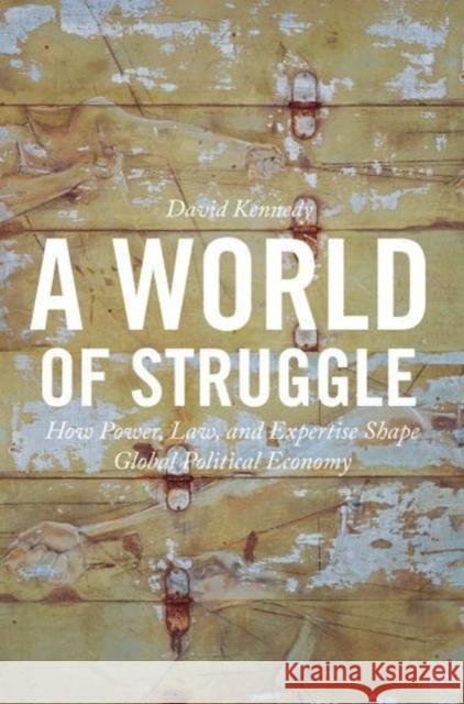 A World of Struggle: How Power, Law, and Expertise Shape Global Political Economy Kennedy, David 9780691180878 Princeton University Press - książka