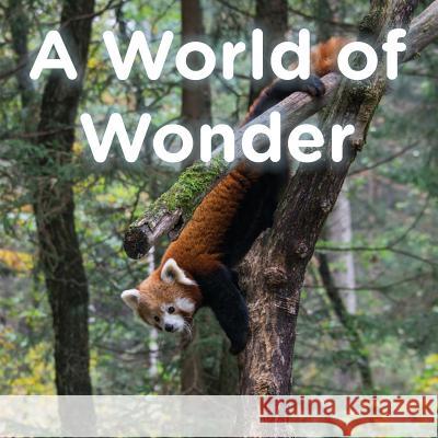 A World of Wonder Brent A. Ford Lucy McCullough Hazlehurst 9781947348356 Nvizn Ideas LLC - książka