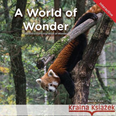 A World of Wonder: A Child's Interactive Book of Wonder Brent A. Ford Lucy McCullough Hazlehurst 9781947348707 Nvizn Ideas LLC - książka