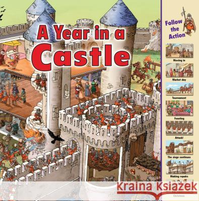 A Year in a Castle  9781580137966 First Avenue Editions - książka