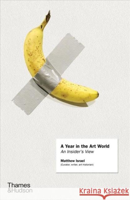 A Year in the Art World Matthew Israel 9780500239926 Thames & Hudson - książka