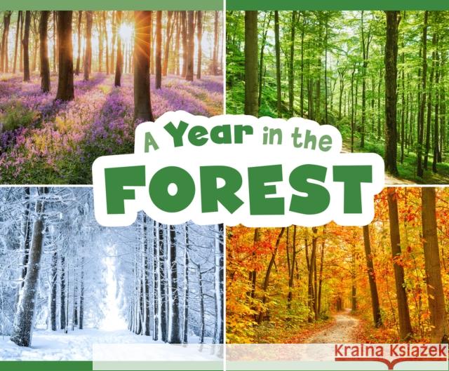 A Year in the Forest Christina Mia Gardeski 9781474795470 Capstone Global Library Ltd - książka