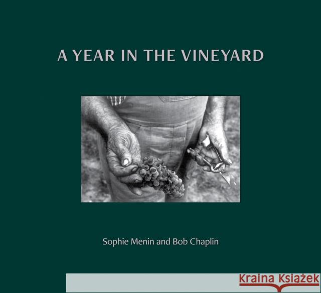 A Year in the Vineyard Bob Chaplin 9781739330149 Cultureshock Media Ltd - książka