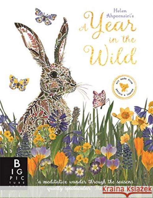 A Year in the Wild Helen Ahpornsiri Ruth Symons  9781787416659 Templar Publishing - książka