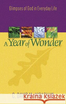 A Year of Wonder McKirachan, C. David 9780664225971 Westminster John Knox Press - książka