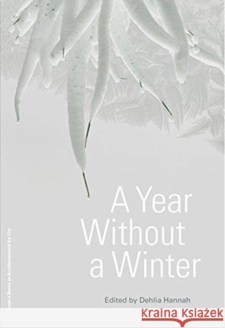 A Year Without a Winter Dehlia Hannah 9781941332382 Columbia Books on Architecture and the City - książka