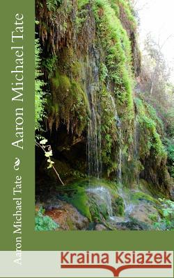 Aaron Michael Tate: Aaron Michael Tate Aaron Michael Tate 9781514820711 Createspace - książka