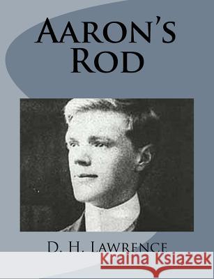 Aaron's Rod D. H. Lawrence 9781499213164 Createspace - książka