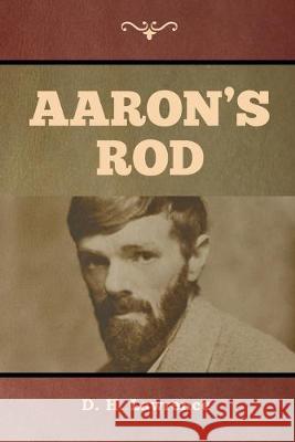 Aaron's Rod D H Lawrence 9781644393482 Indoeuropeanpublishing.com - książka