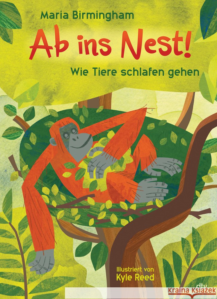 Ab ins Nest! - Wie Tiere schlafen gehen Birmingham, Maria 9783423764469 DTV - książka