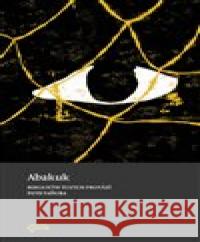 Abakuk Juliána Chomová 9788088642206 Biblion - książka