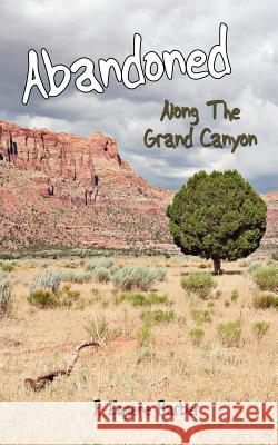 Abandoned: Along The Grand Canyon Barber, F. Eugene 9781425983321 Authorhouse - książka