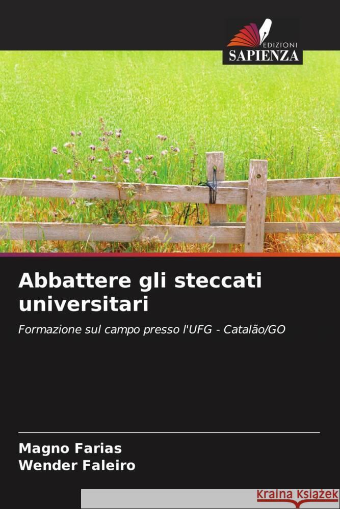 Abbattere gli steccati universitari Farias, Magno, Faleiro, Wender 9786208342302 Edizioni Sapienza - książka